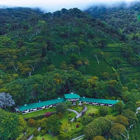 Hotel Finca Lerida Coffee Plantation And Boutique Hotel Boquete Exterior foto