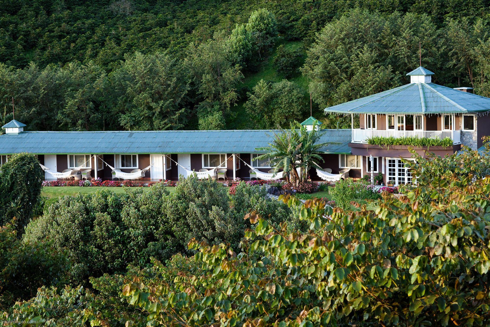 Hotel Finca Lerida Coffee Plantation And Boutique Hotel Boquete Exterior foto