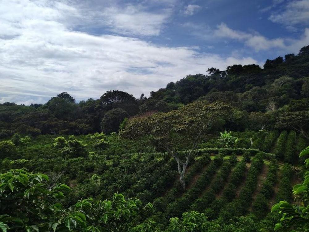 Hotel Finca Lerida Coffee Plantation And Boutique Hotel Boquete Exterior foto