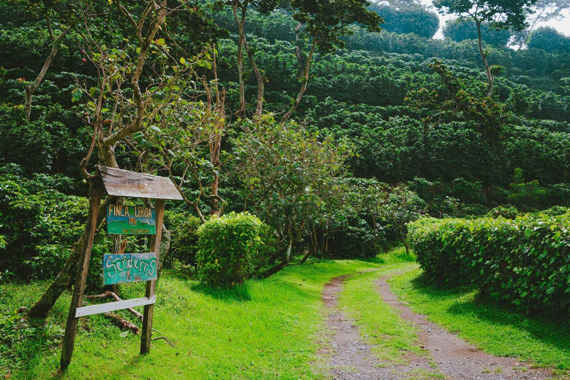 Hotel Finca Lerida Coffee Plantation And Boutique Hotel Boquete Exterior foto