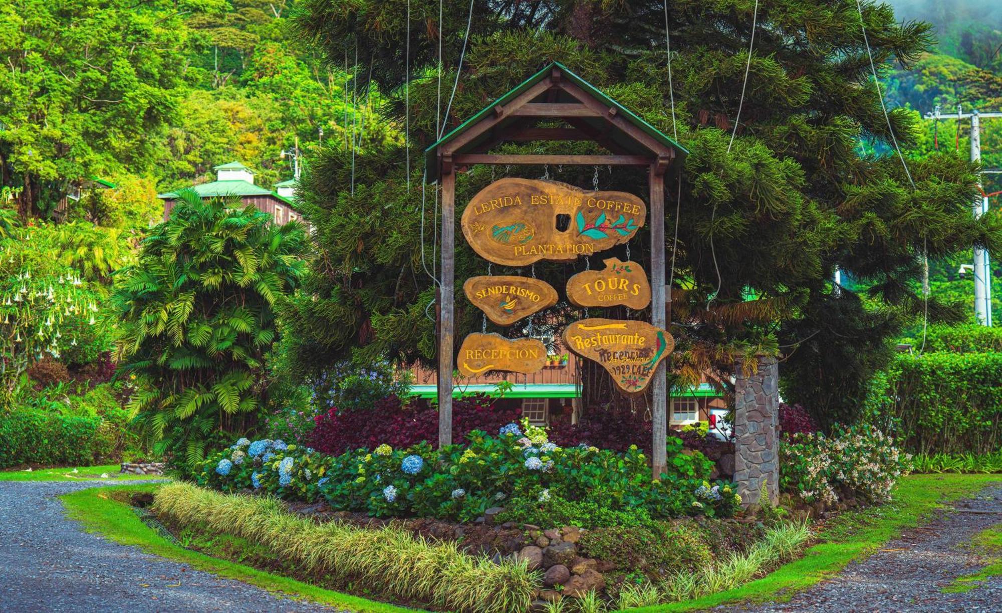 Hotel Finca Lerida Coffee Plantation And Boutique Hotel Boquete Exterior foto